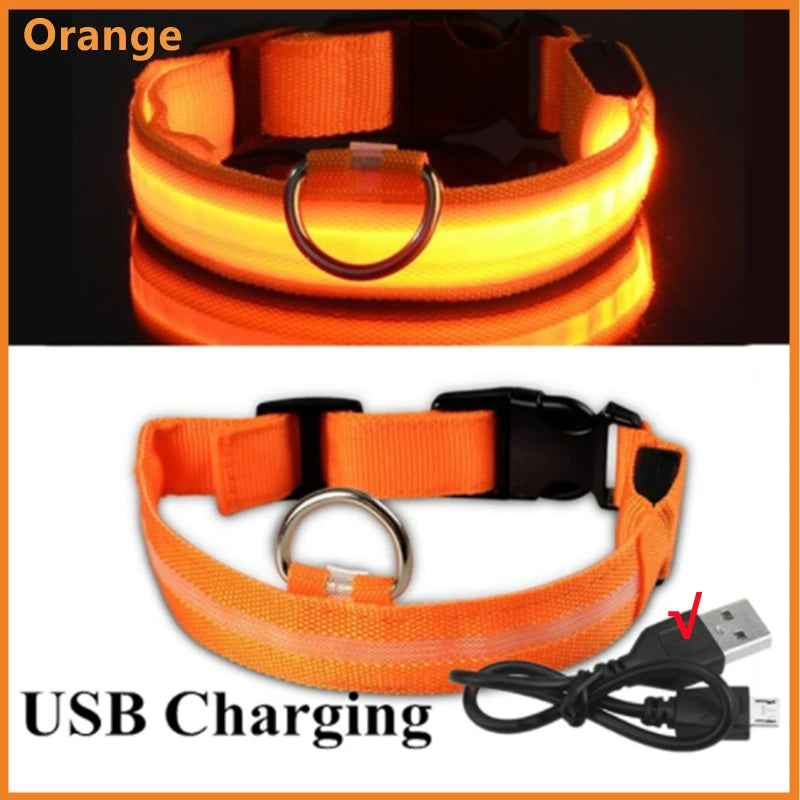 USB Rechargeable Luminous Collar Adjustable